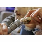 DREMEL Dog Digits Machine su batterie, 4 dischi - immagine 3