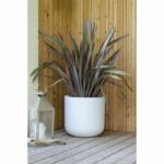 EDA PLASTIQUE - Pentola tonda 40 cm Graphit'Up - 32,5 L - Bianco limato - immagine 2