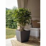 Fioriera - DIVA BASALT - Grigio antracite - Quadrata - 42 L - 43,5 x 43,5 x H.44,2 cm - EDA - Scatola interna estraibile - immagine 2