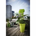 Piatto fino fiori LU Ø35cm Bianco - immagine 3