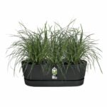 ELHO - Vaso da fiori - Greenville Easy Balcony 52 - Living Black - Balcone - L 21,2 x P 52 x H 19,4 cm - immagine 3