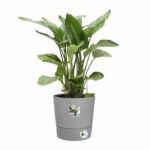 ELHO - Vaso da fiori - Greensense Aqua Care Round 43 - Cemento chiaro - Interno/esterno - Ø 43 x H 42,5 cm - immagine 3