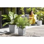 ELHO - Vaso da fiori - Greensense Aqua Care Square 30 - Cemento chiaro - Interno/esterno - Ø 29,5 x H 30,2 cm - immagine 2