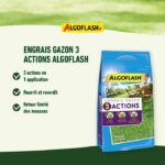 Fertilizzante Gazon - Algoflash Naturasol - 3 azioni - 3 kg - immagine 3