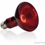 lampada infrarossa Baskin 100 W - immagine 3