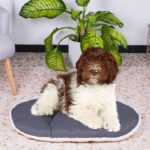 Cuscino - FERPLAST - RELAX 78/8 - 78 x 50 cm - Tessuto e pelliccia - immagine 2