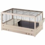 FERPLAST Gabbia ARENA 80 per porcellini d'India - Legno di pino nordico - Norme FSC - 82 x 52 x 45,5 cm
