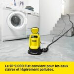 SP 9.000 Flat Eau Claire - Karchar - immagine 2