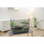 Gabbia - KERBL - EVA 23 - 79 x 45 x 60 cm - immagine 5