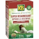 KB KREGFAC100 Semi per prato - Super rigenerante 2 kg - Per zone d'ombra - Germinazione rapida 7 giorni - Per 100 m²
