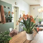 Vaso LECHUZA ORCHIDEA ALL-IN-ONE Bianco opaco - immagine 4