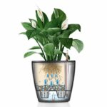Vaso - LECHUZA - Classico 35 LS ALL-IN-ONE - Bianco lucido - Sistema di irrigazione - 13 L - immagine 2