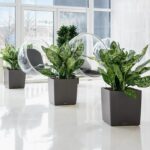 Vaso da fiori - LEC - Cube Premium 50 - bianco lucido - resistente alle intemperie e ai raggi UV - immagine 4