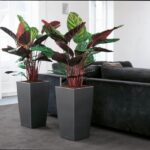Vaso da fiori - LEC - Cubico Premium 40 - Rosso - Con riserva d'acqua - Kit completo - immagine 5