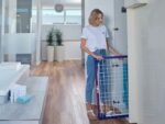 Dryer PEGASUS 200 piedi - immagine 4