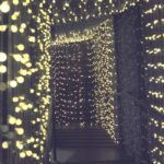 LUMI GARDEN Corda solare per palline Billy Solar - Luce bianca - 60 palline - 700 cm - immagine 3