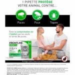 FRONTLINE Combo Cat - 6 pipette - immagine 2