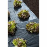 Pellicola per pacciamatura nera per tutte le colture - 1,40x10m