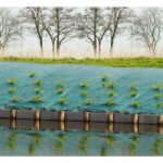 Tela pacciamatura - 2x5m Verde - immagine 3