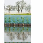 Tela pacciamatura - 2x5m Verde - immagine 4