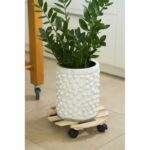 Tavolo rullo NATURE per piante - Abete - H7,4 x Ø35 cm - immagine 3