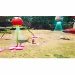 Pikmin 4 - Edizione standard | Gioco per Nintendo Switch - immagine 3