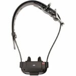 Collare antifuga - NUM'AXES - CANIFUGUE FUG1034 - Nero