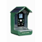 Mangiatoia / abbeveratoio per uccelli con telecamera integrata - NUM'AXES - CAM1074 - 120 ° - Verde - immagine 2