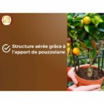 Terra di agrumi e piante mediterranee - MARRONE ORO - OBRTAG20N - 20 L - immagine 2