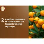 Terra di agrumi e piante mediterranee - MARRONE ORO - OBRTAG20N - 20 L - immagine 3