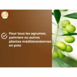 Terra di agrumi e piante mediterranee - MARRONE ORO - OBRTAG20N - 20 L - immagine 4