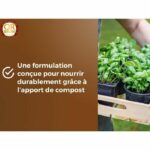 Terriccio per ortaggi e piante aromatiche - OR BRUN - OBRTARO6U - 6L - Crescita rapida - immagine 5