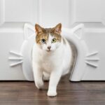 Passaggio per gatti - PETSAFE - CAT CORRIDOR - Bianco