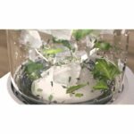 Frullatore - PHILIPS - HR2500/00 Pro Blend - 350 W - 0,6 L - Bianco - immagine 5