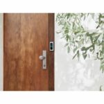 Videocitofono - RING - Pro 2 + Guida DIN - HB - EU - immagine 3