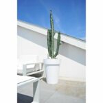 SOLEILLA HAUT 53 BIANCO - immagine 3