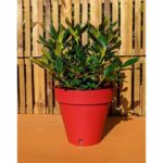 Fioriera rotonda RIVIERA LOFT - Plastica - Diametro 40 cm - Rosso - immagine 2