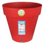 giardino del contenitore in plastica - immagine 2