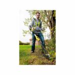 Decespugliatore RYOBI 36V - Manubrio - Filo Ø 1 x 1,65 mm - Lama a 3 denti Tri-Arc+ 26 cm - immagine 3