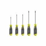 Set di 5 cacciaviti magnetici Torx RYOBI - RHSDST5