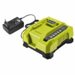 Caricabatterie rapido RYOBI 36 Volt 6 Amp - RY36C60A - immagine 3