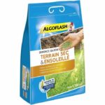 Semi di erba secca Sunny Ground 3 kg - immagine 2
