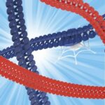 Ricarica Flextreme - Sipidey - 72 Tracce - 2 ventose di fissaggio - immagine 3