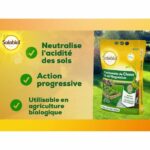 SOLABIOL SOCHAUX10 Carbonato di calce e magnesio - 10 Kg - immagine 4