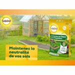 SOLABIOL SOCHAUX10 Carbonato di calce e magnesio - 10 Kg - immagine 5