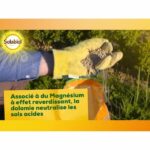 SOLABIOL SOCHAUX10 Carbonato di calce e magnesio - 10 Kg - immagine 6
