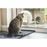 lembo Microchip cat - immagine 2