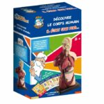 HELLO MAESTRO Bust Anatomy - Scopri il corpo umano - immagine 2