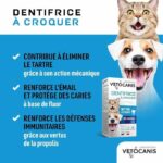 Dentifricio Per cat masticabili - immagine 3