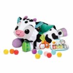 PISCINA CON SFERE MUSICALI IN PELUCHE MAXI VTECH